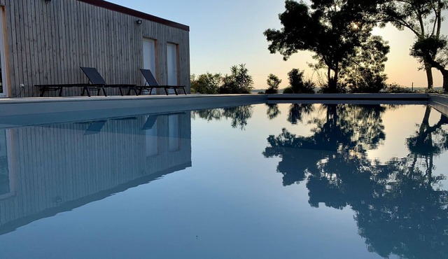 A SPIRIT OF FAMILY * (4 ears)