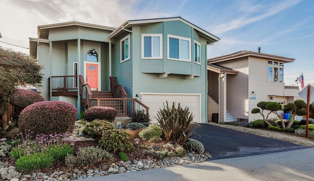 A Step Away-Spring Special