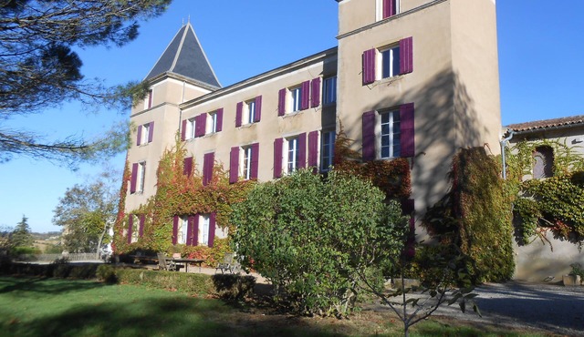 A stunning 1800 Castle near Carcassonne, Mirepoix. Large pool with diving board.