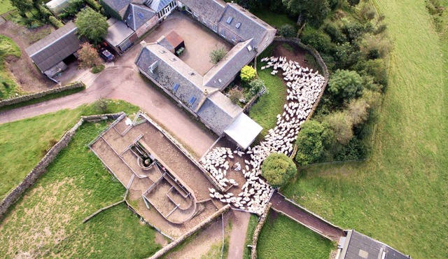 A stylish country cottage near Edinburgh. Wood-fired sauna. Pet friendly.