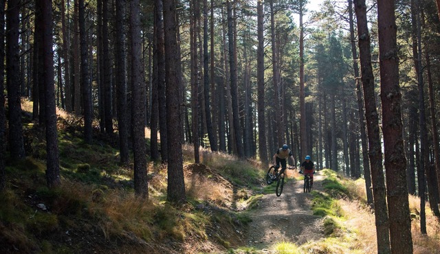 A stylish, yet cosy Highland property with views of the mountains. Located in Aviemore, set beneath