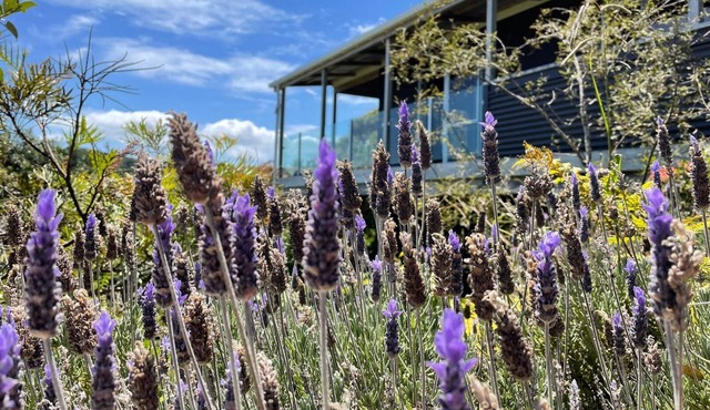 A sunset paradise, 3 bedroom home on a hill with views to the ocean