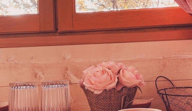 A sweet week in a tree house in Provence