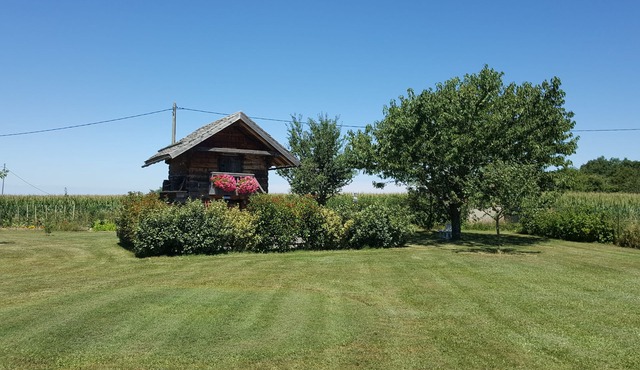 A taste of authenticity in a charming gite with Nordic bath