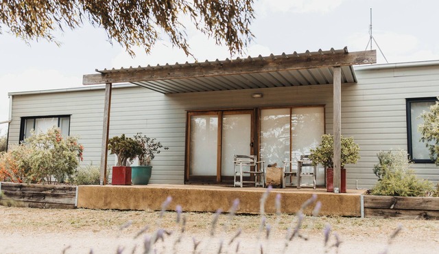 A tranquil 40 acre olive grove, comfort inside, fire pit & hot tub outside