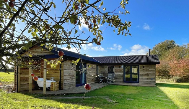 A tranquil lakeside setting.