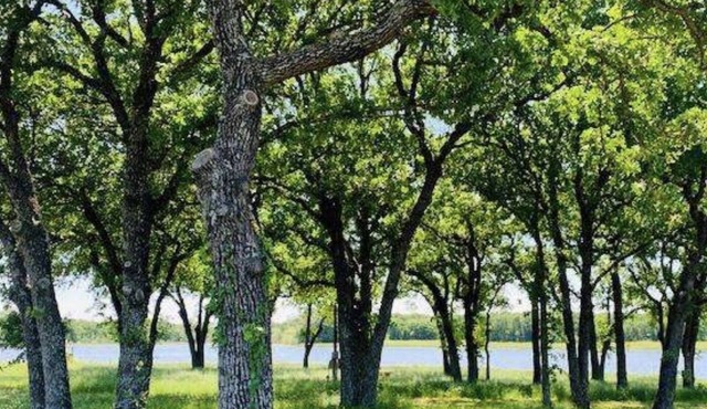 A true elegant, peaceful getaway, Close to Waco, Magnolia Silos and Waco