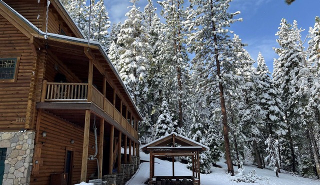 A True Tahoe Log Home-Surrounded By Forest, hot tub, privacy, great location.