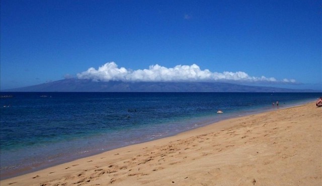 A unique dolphin cabin in Kaanapali!