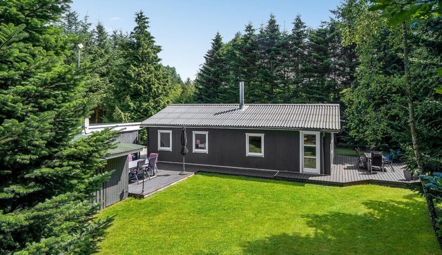 A vacation on the Limfjord offers a variety of experiences for the whole family.