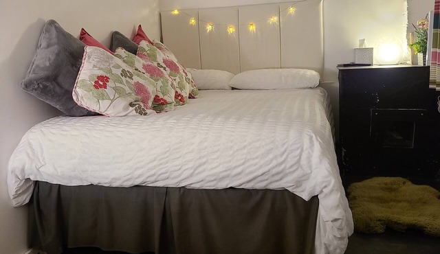 A Victorian laundry now a little (25'x8') dog-friendly let 5mins to town & beach