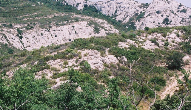 A villa in the heart of nature