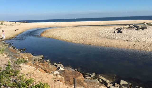 A Walk to the Beach!