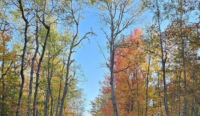 A well-maintained, cozy camper in a secluded location near state land