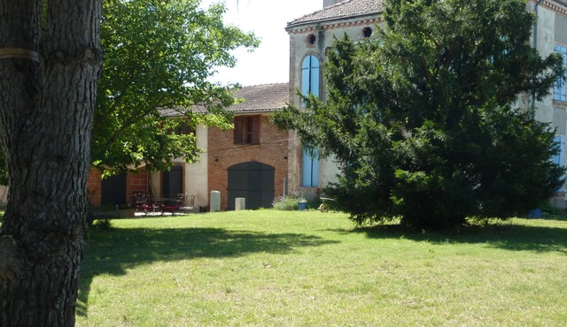 A whole field for you