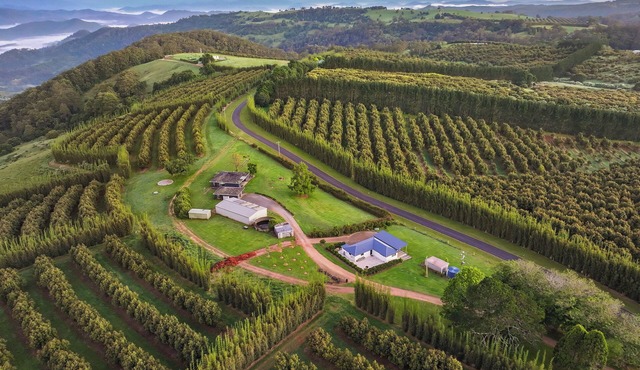 A Wonderful Country Relax. Reconnect with nature.