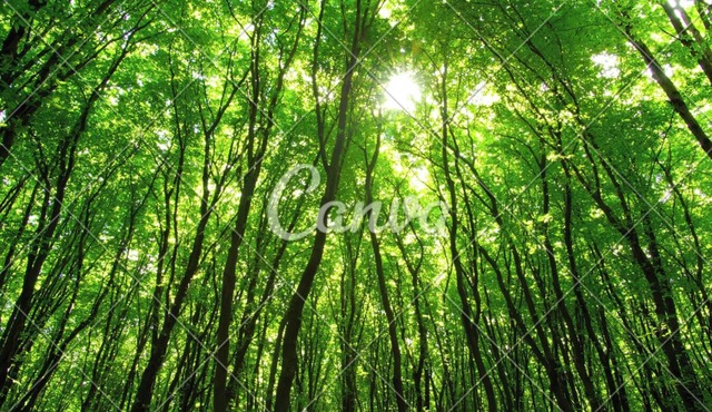 A wooden house by the river - 1 hour from Nice !