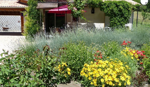 A wooden house in the meadow in the heart of Haute Provence