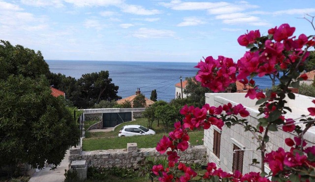 A1 Studio Apartments Kalma