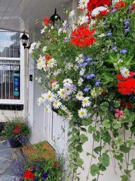 Aarondale Guest House