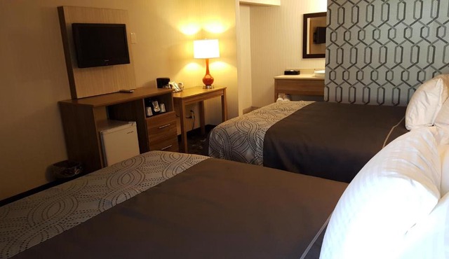 AArtpark Hotel Inn at Lewsiton