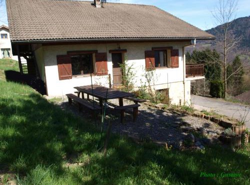 Abeille Saint Michel