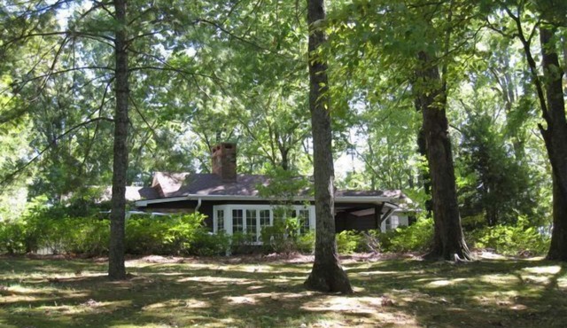 Aberfoyle - Private Country Retreat in Equestrian setting