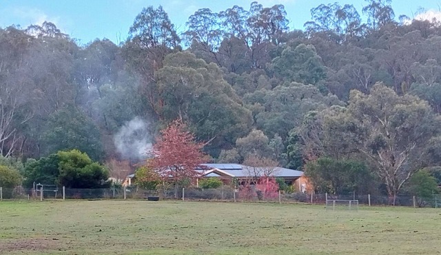 Above the Mist Dexters. Spacious comfortable home on 12 acres.