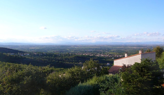 Above the vineyards on the forest slope: cozy apartment with a dream view