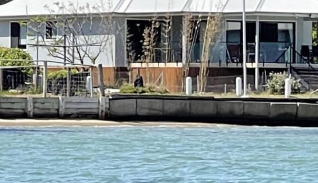 ABSOLUTE BEACHFRONT - Pindimar Luxurycozy private sandy beach，ducted aircon