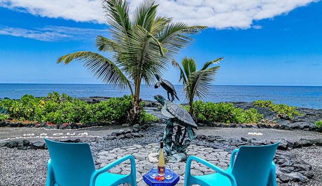 Absolute Oceanfront on Ancient Lava Cliffs! Whales, dolphins, turtles!