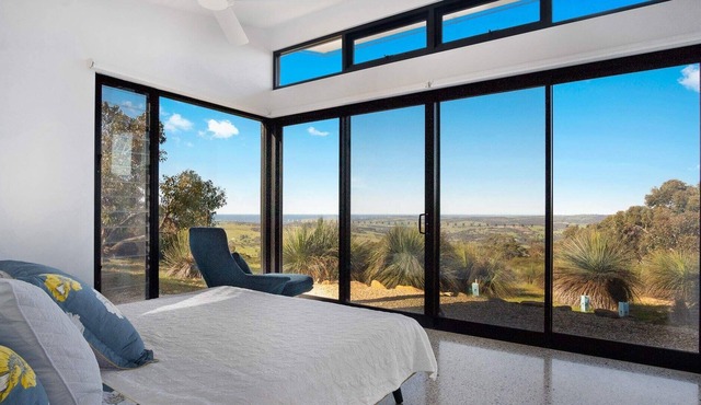 Acacia - Hindmarsh Valley