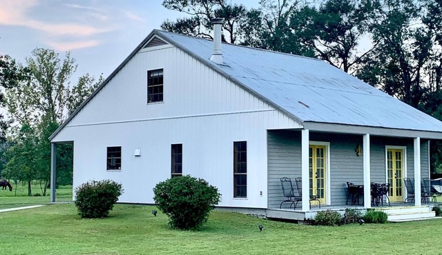 Acadian Style home with a touch of modern farm house