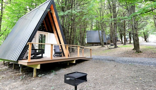 Accessible A-Frame Cabin on a Wonderful Campground for a Memorable Outdoor Escape in Canandaigua, New York