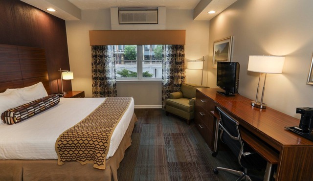 Accessible King Rm w/Sofa Bed + Outdoor Area