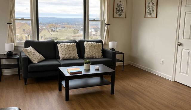 Accessible Large Lake View Home , sleeps 9, near Cornell