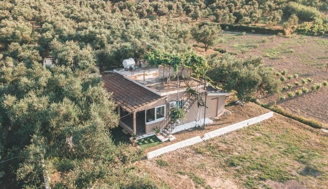 Accessible Vacation Home "The Mills House" with Private Terrace & Wi-Fi