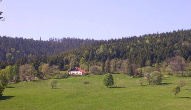 Accommodation for 12 people in renovated farmhouse Hautes Vosges very natural