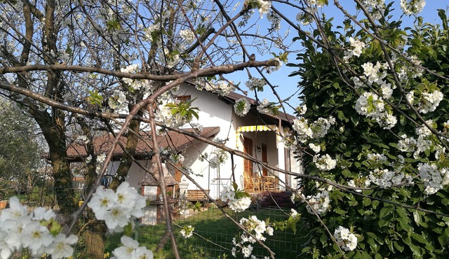 Accommodation in delightful cottage in Giaveno CIR00111500011 CIN IT001115C286W593TP