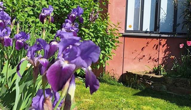 Accommodation in the Heart of the Nantes Vineyard - Near Clisson