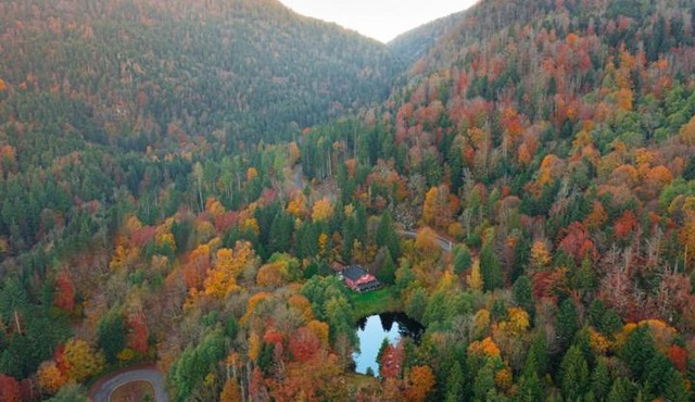 Accomodatie in Villa Werschmatt