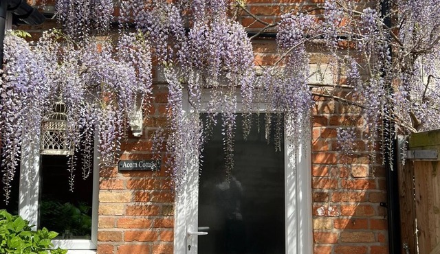 Acorn Cottage in the heart of Quorn