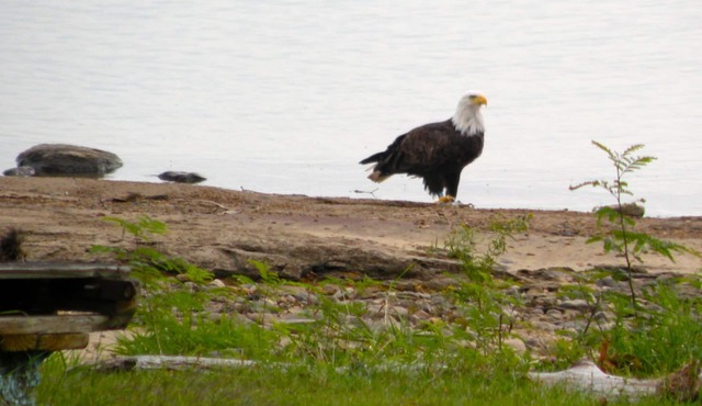 ACROSS FROM SAND ISLAND ON SACANDAGA LAKE