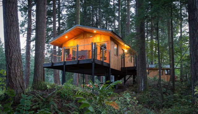 ADA Luxury Tree House in Heart of Washington