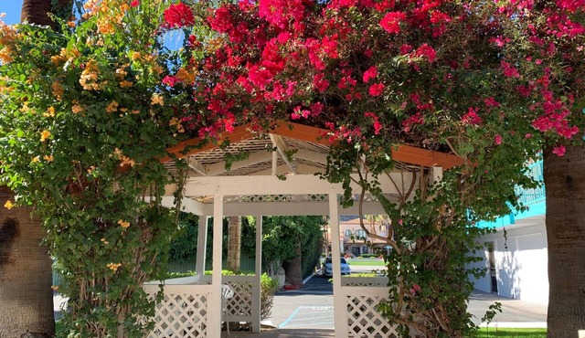 Adara Hotel Palm Springs