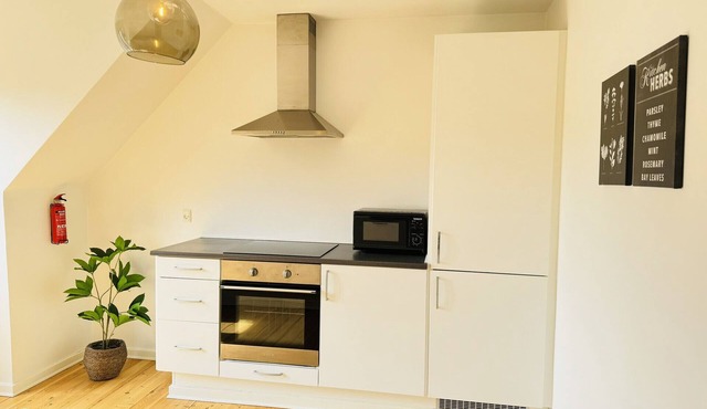 aday - 1 bedroom balcony apartment on the pedestrian street in Randers