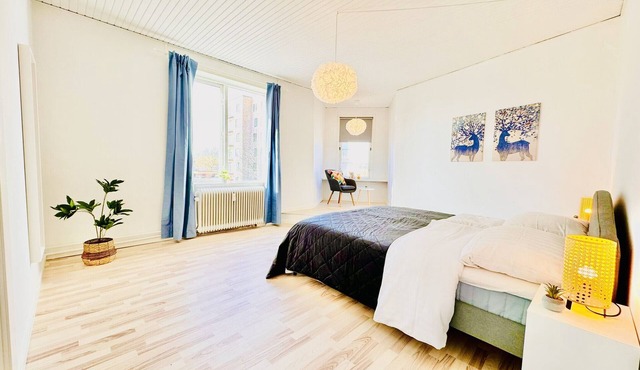 aday - 4 bedrooms holiday apartment in Brønderslev