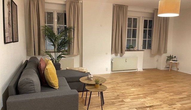 aday - Large terrace and 2 bedrooms apartment in the heart of Randers