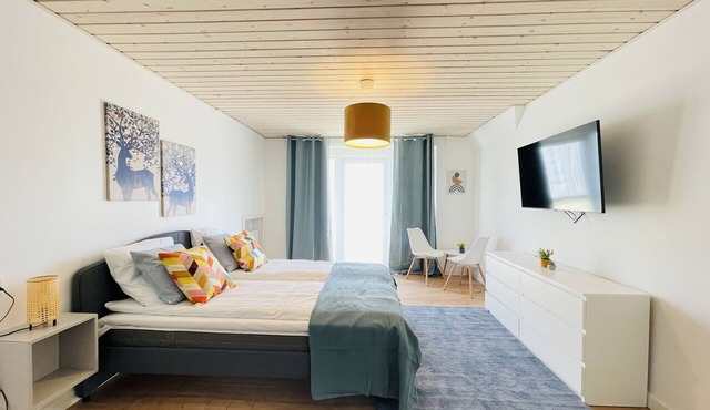 aday - Spacious and beautiful apartment in the center of Frederikshavn