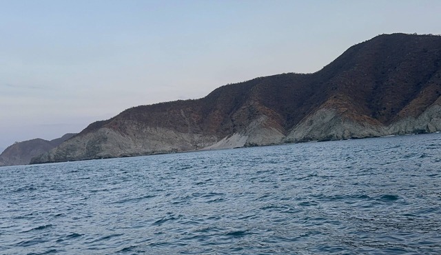 Add amazing property attributes here!